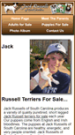 Mobile Screenshot of jackrussellsofsc.com